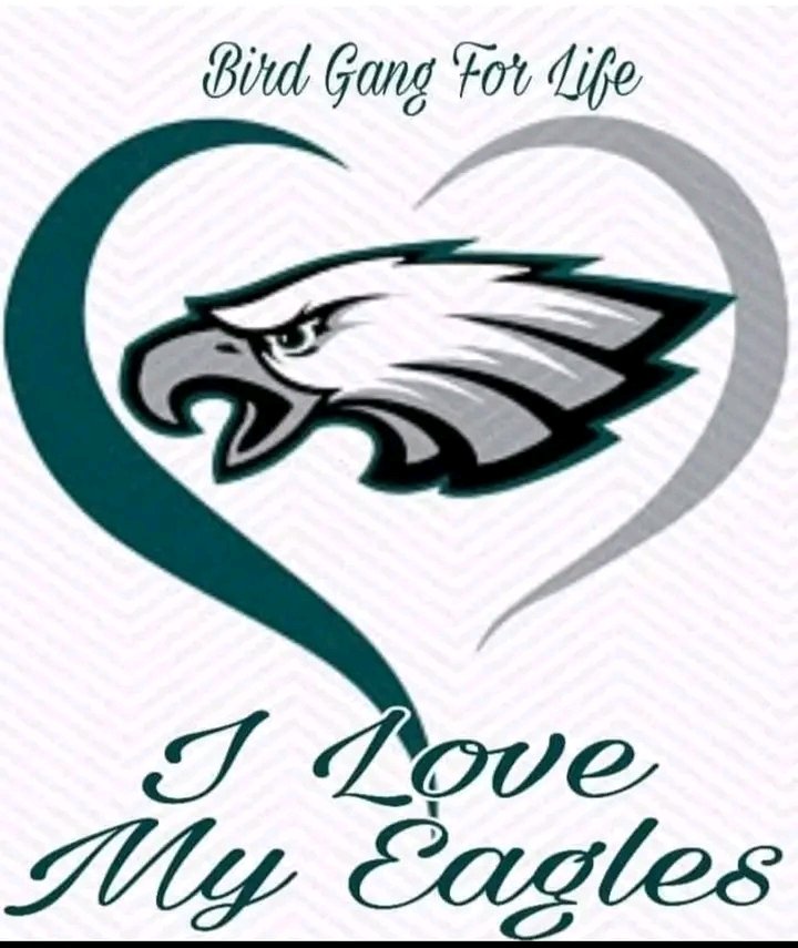 eaglesfly66's tweet photo. #FlyTogether #flyeaglesfly #Philly https://t.co/u87dPkwhn2