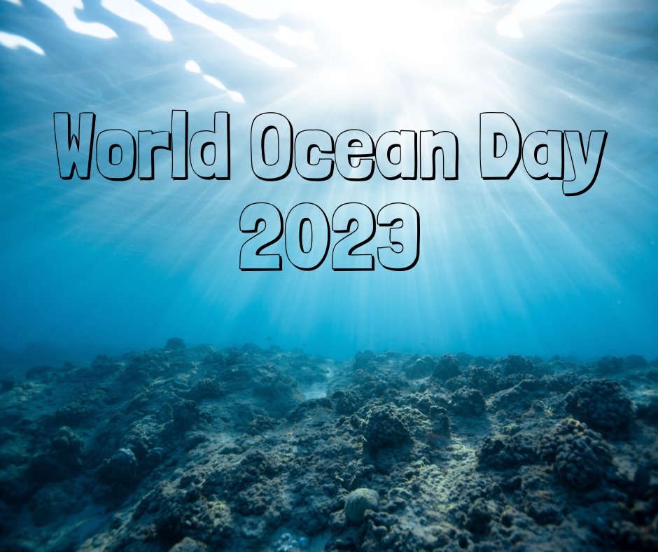 International Institute of Fisheries Econ & Trade tweet media