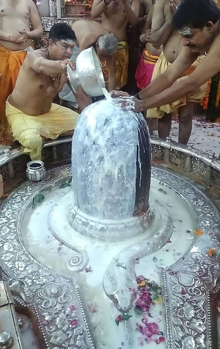 iritikam's tweet photo. ॐ श्री महाकालेश्वर के दुग्ध स्नान का अलौकिक दिव्य दर्शन 🙏🙏🙏💐💐💐💐💐💐
सदा महाकाल की अलौकिक दृष्टि सब पर बनी रहे । https://t.co/GqDNzYwfCa