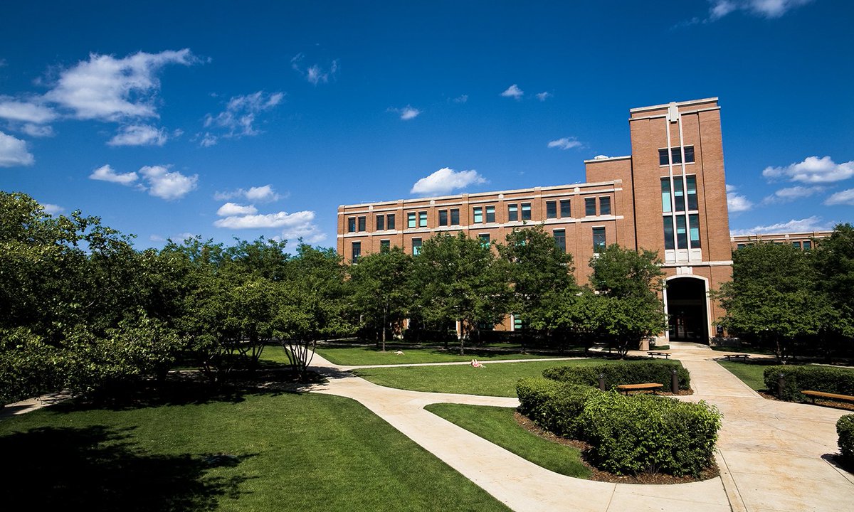 DePaul University Library tweet media