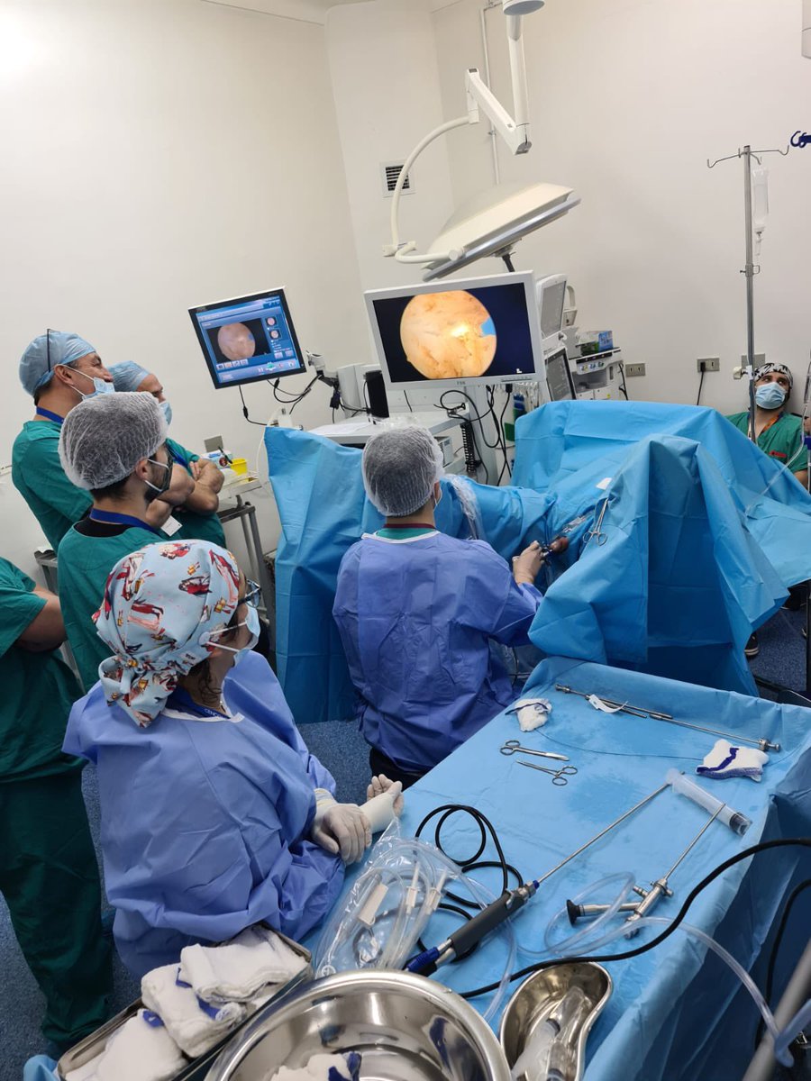 fseguradiazURO's tweet photo. Finalizado nuestro Curso #Holep #Holmium #SlimHolep con 6 cirugías ✅
Tremenda experiencia agradecido de nuestro equipo HLU y asistentes. https://t.co/lxlcOlJfbf