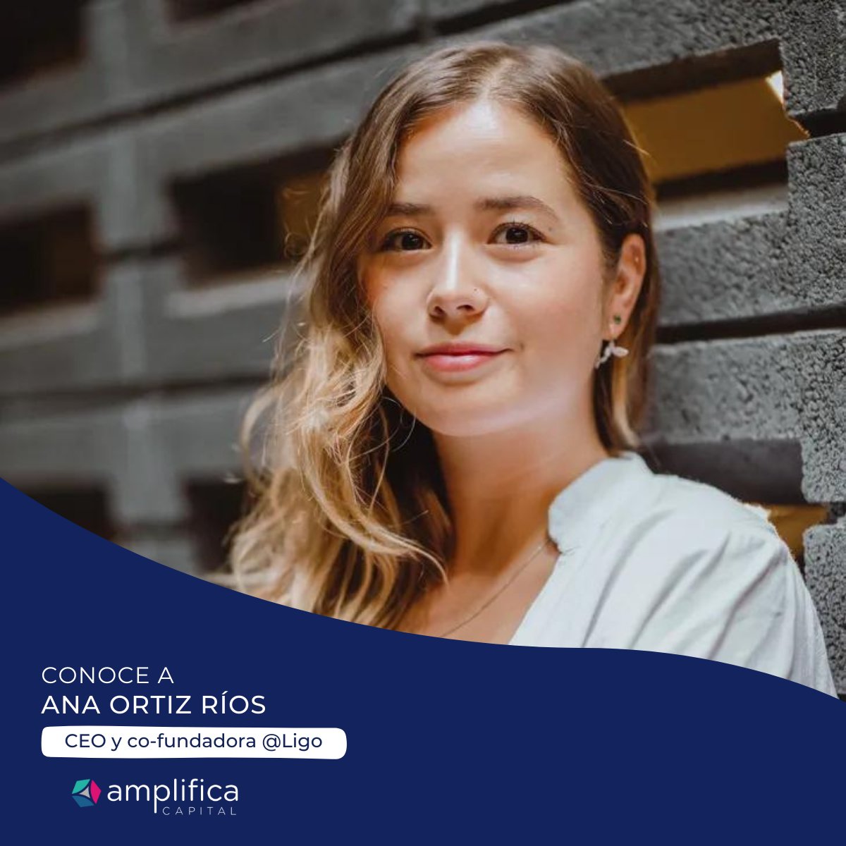 Amplifica Capital tweet media