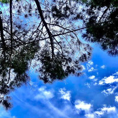 poyrazcan3545's tweet photo. #YeniProfilResmi https://t.co/U4RXMZ7gOg