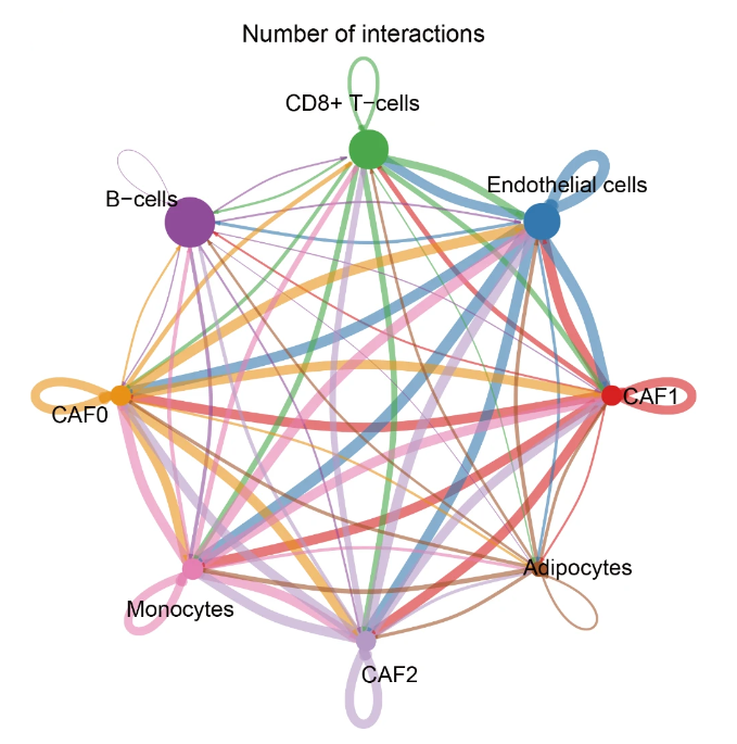 Hepatic Cell News (@hepaticcellnews) on Twitter photo Researchers highlighted how cancer-associated fibroblasts were associated with #hepatocarcinogenesis, and the functional importance of B cells and CD8 + T cells in modulating cancer-associated fibroblasts in #HCC.
Read more in <a href="/GutPathogens/">Gut Pathogens</a>:
📓 bit.ly/3CgsWMS Researchers highlighted how cancer-associated fibroblasts were associated with #hepatocarcinogenesis, and the functional importance of B cells and CD8 + T cells in modulating cancer-associated fibroblasts in #HCC.
Read more in <a href="/GutPathogens/">Gut Pathogens</a>:
📓 bit.ly/3CgsWMS