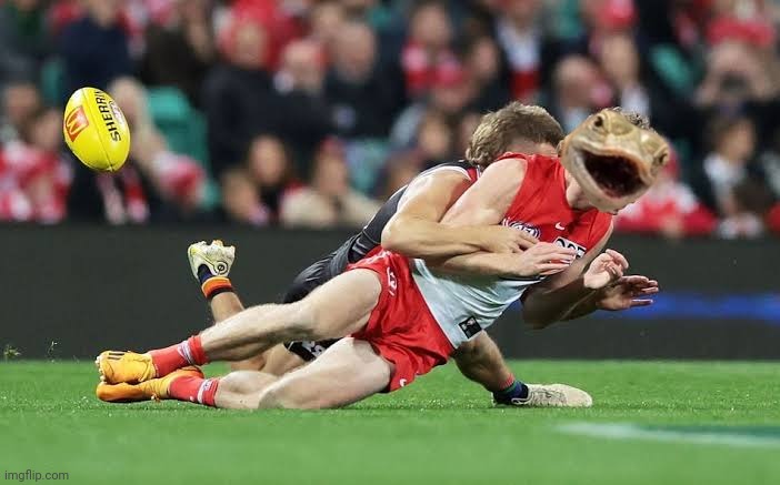 A normal person would've stuck out his arm to brace for impact, but why didnt the lizard put his spare limb out, considering Butler only held one of his upper limbs?

#reptilianharikiri #AFLSwansSaints