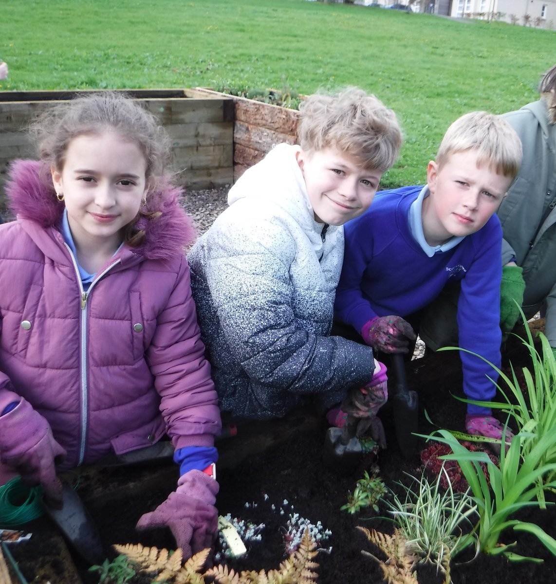 ScotstownS's tweet photo. P6 planted one of the beds in the new sensory garden in Westfield Park. Since then, we have been regularly watering the plants and helping to look after them. https://t.co/zGBE7eqfCm