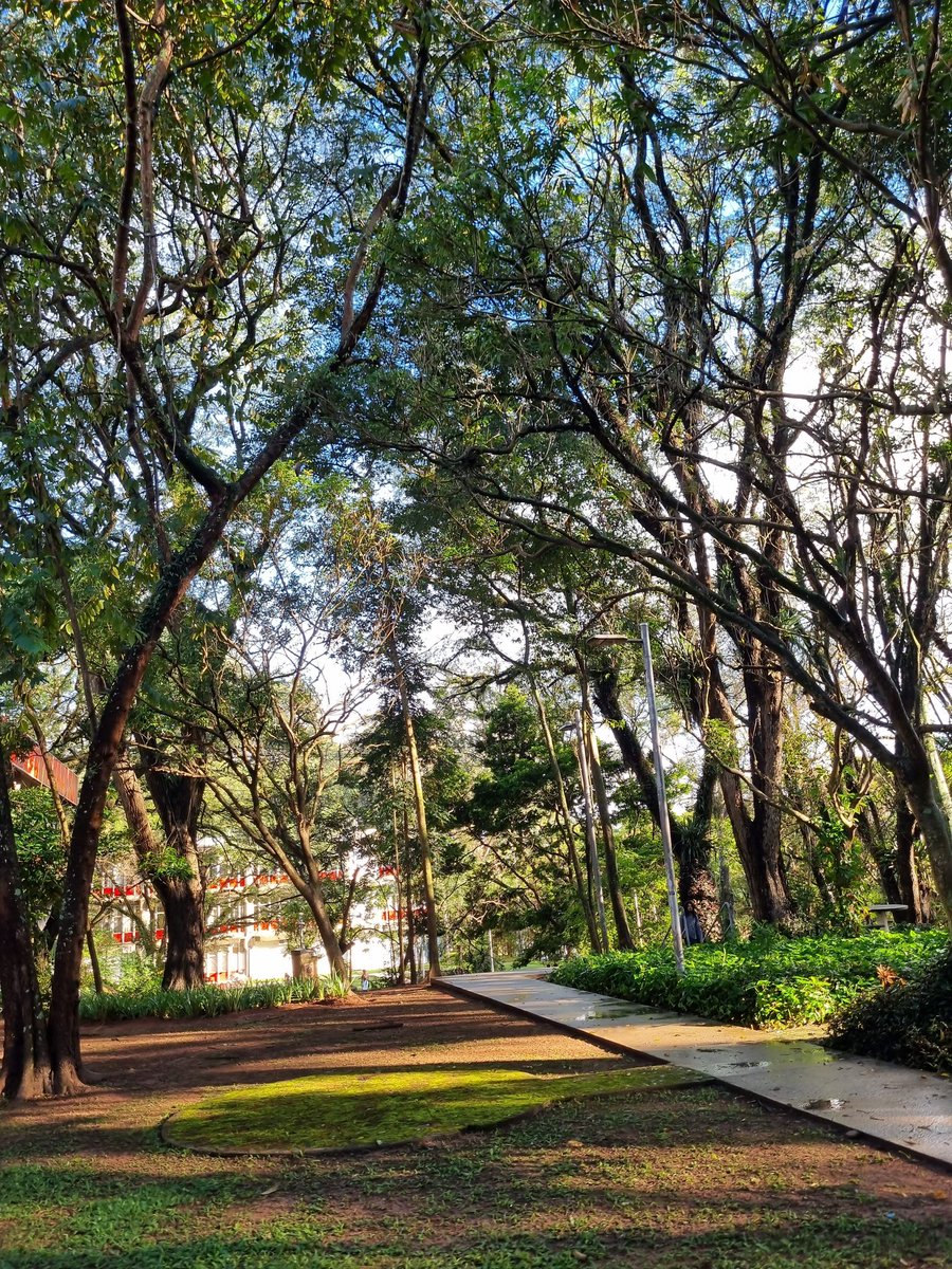 ATENÇÃO: USP butantã, obrigada.