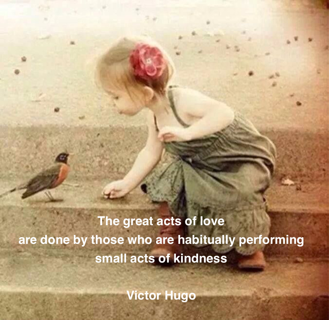 ramblingsloa's tweet photo. The great acts of love are done by those who are habitually performing small acts of kindness.

Victor Hugo https://t.co/DoguFuZwve