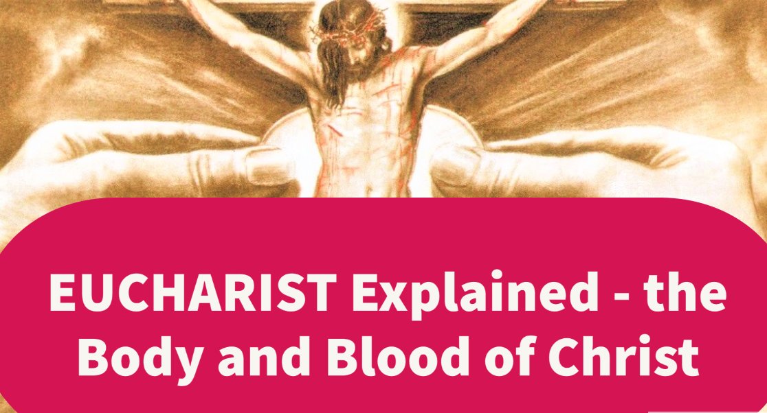 catholicnews1's tweet image. What is the #Eucharist or Holy #Communion? 5 Points on the Eucharist to Share from the Bible and #Catechism - #CorpusChristi Explained
catholicnewsworld.com/2023/06/what-i…