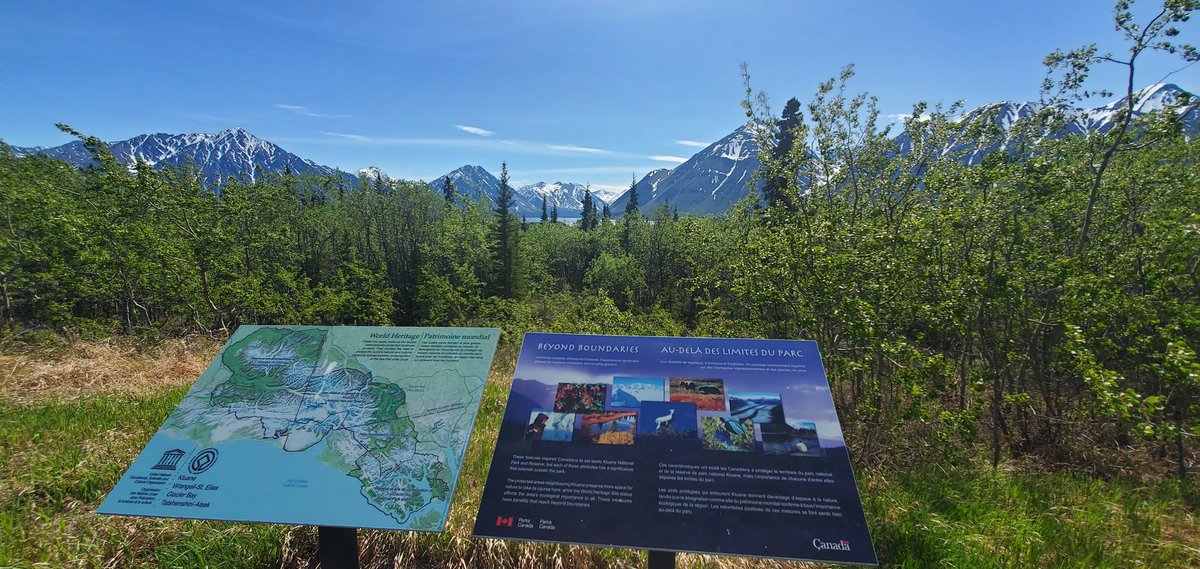 Meaghen McCord tweet media