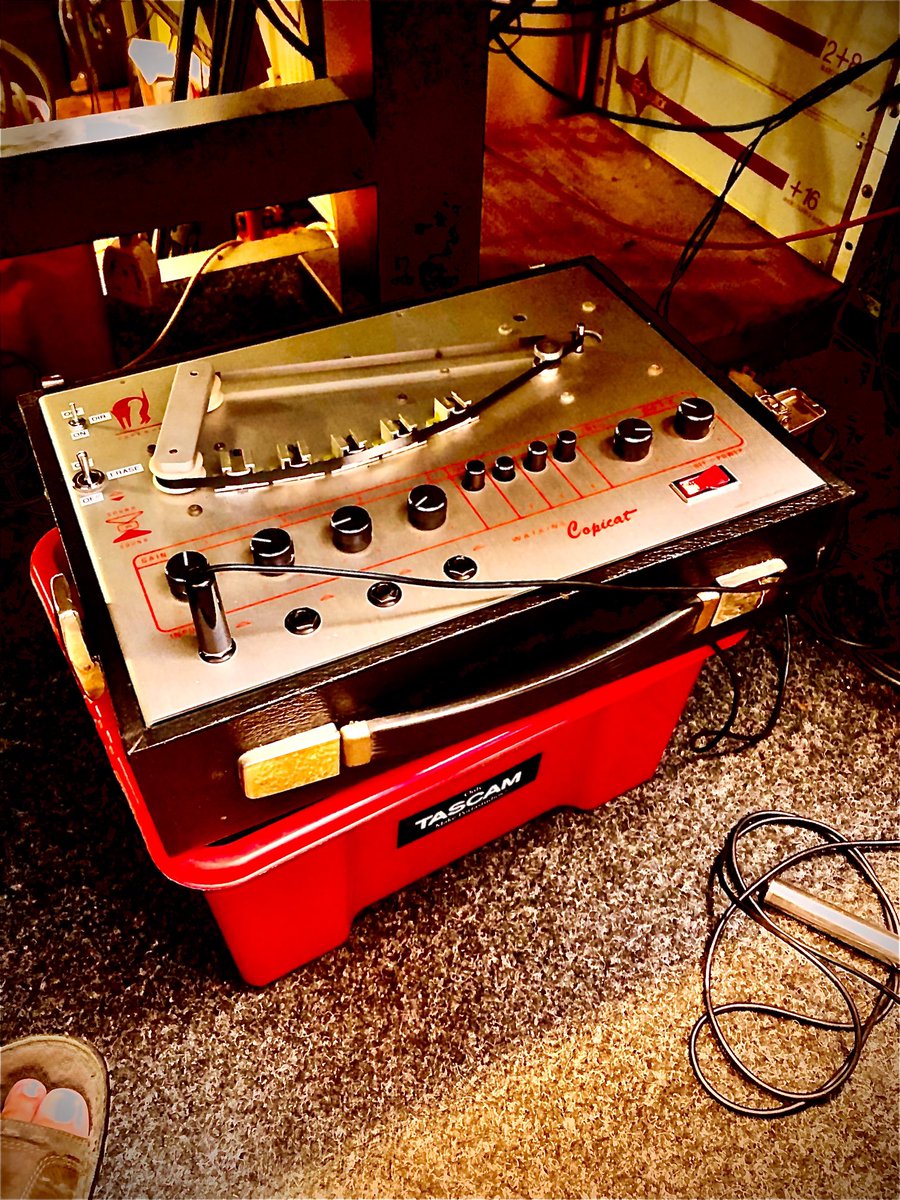 You never know what’s lurking under the desk! 😆😆😆