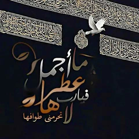 loveroby075's tweet photo. #صورة_ملف_شخصي_جديدة https://t.co/lpgTiwE8Ik