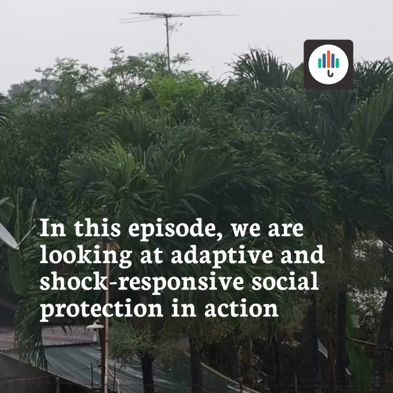 SP_Gateway's tweet photo. 1/2 🎙️ In our latest episode of the #SPpodcast: 'Resilience Building through #AdaptiveSocialProtection' discover how #ASP empowers households to take anticipatory actions before shocks hit. 

▶️ Listen now at https://t.co/qDEMRgSWuA

@RiyadKat @JamesJumba @gigisharpe