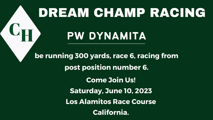 Dream Champ Racing (@racing_champ) on Twitter photo 