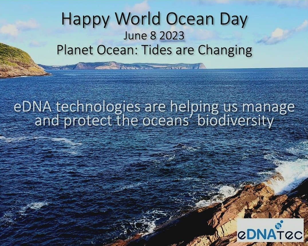 Happy World Ocean Day! #WorldOceanDay