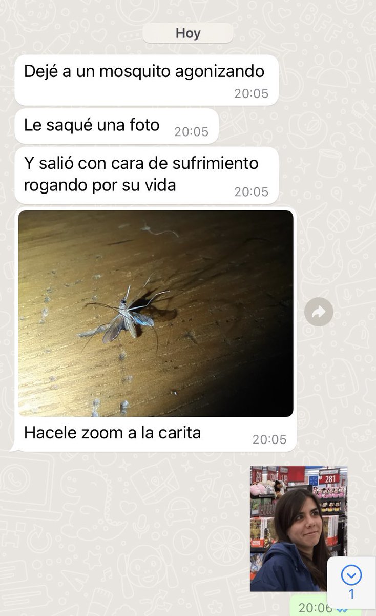 malerossetti's tweet photo. Nadie:
Mi amiga la que esta mejor de la psiquis a mitad de año: https://t.co/vl8rdPdvtO