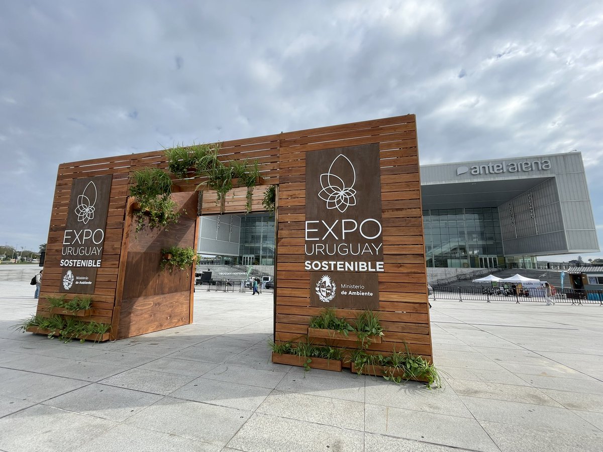 Romina Gonzalez tweet media