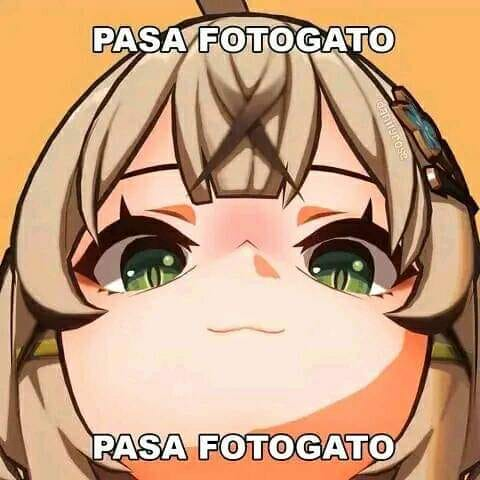 Memes Universidad Nacional tweet media