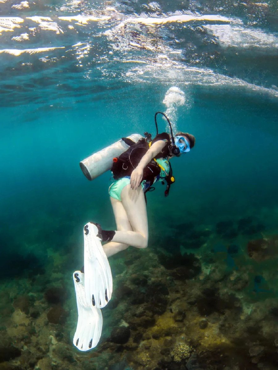 At the bottom of the sea, you can clearly feel every breath and every pulse of your own. Apart from paying attention to avoiding the decompression limit and air volume, the only thing to do is to enjoy the moment.
#San Francisco#Diving#