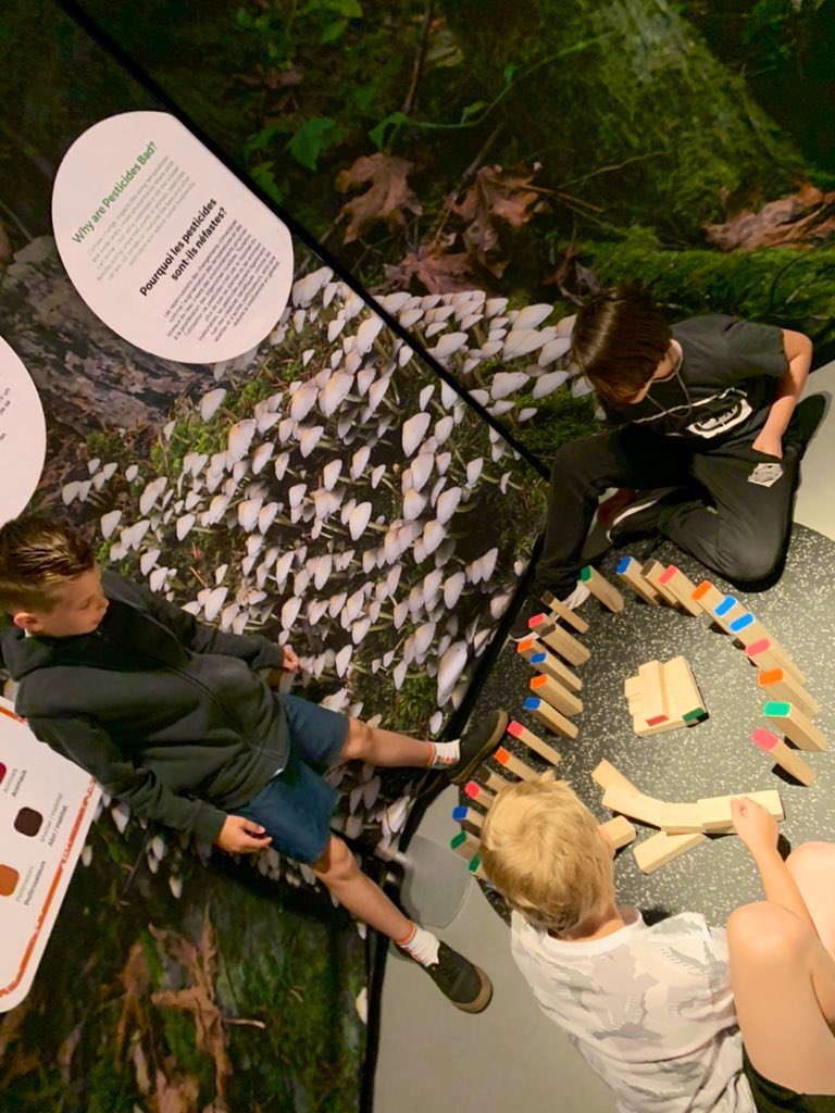 MsHanrahanOCSB's tweet photo. Grade 4/5 had such a fun day @SciTechMuseum 🧪 🧬🚂  @MmeLuna_SMY https://t.co/EOpo1EdNYx