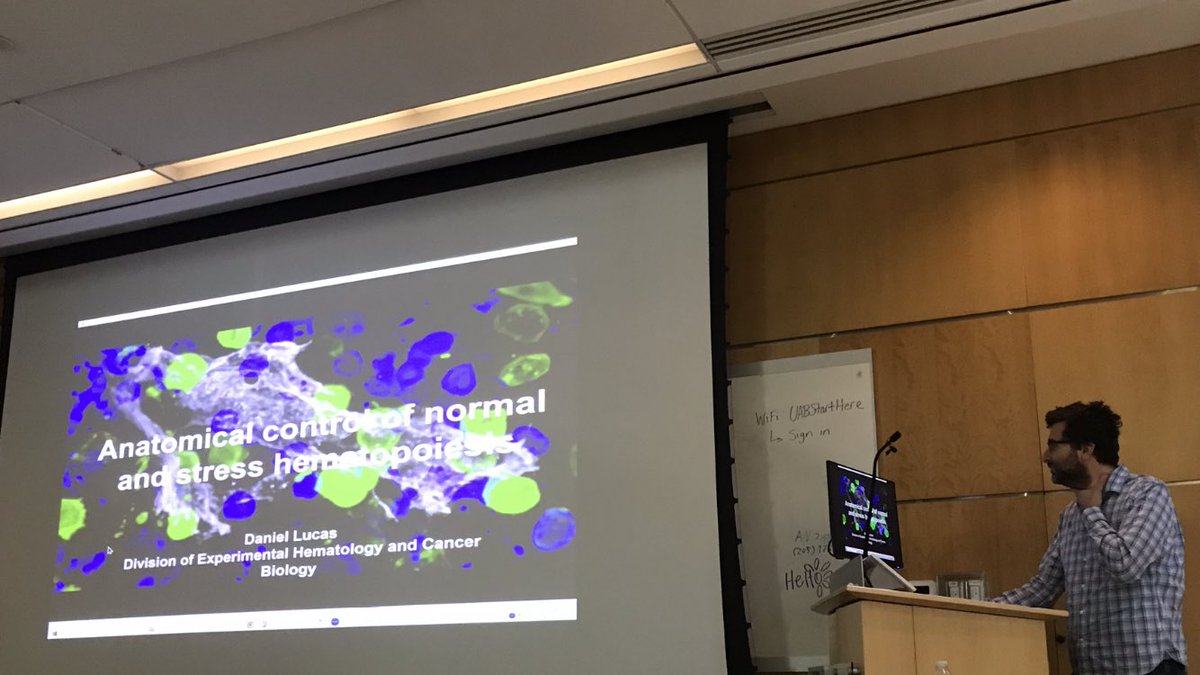 welnerlab (@welnerlab) on Twitter photo Great visit by <a href="/DanielL84885058/">Daniel Lucas</a> with the UAB Sten Cell Biology Program. Inspiring science and spirited discussions about the marrow architecture during health and disease. Great visit by <a href="/DanielL84885058/">Daniel Lucas</a> with the UAB Sten Cell Biology Program. Inspiring science and spirited discussions about the marrow architecture during health and disease.