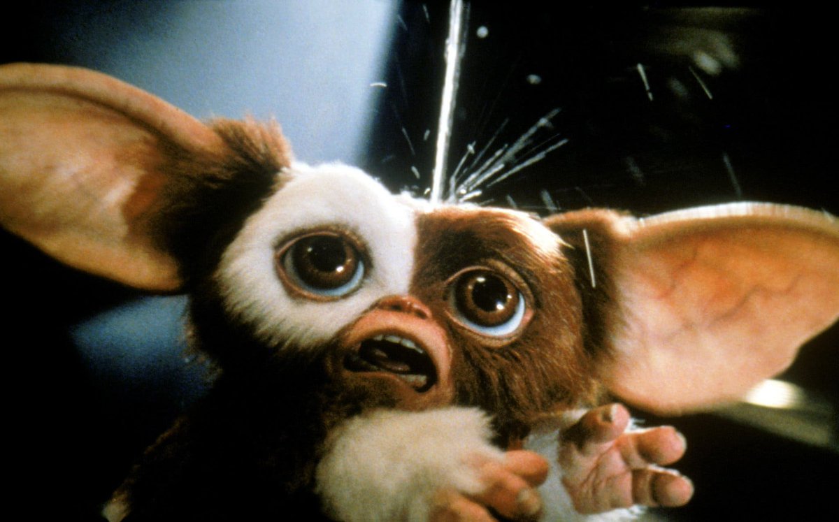 GREMLINS was released on this day in 1984. Each 'like' on this tweet equals another drop of water on poor Gizmo's head. Let's see how well you follow the rules. DO NOT LIKE THIS TWEET.