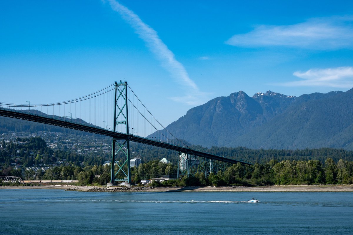 Pengcheng Zhang tweet media