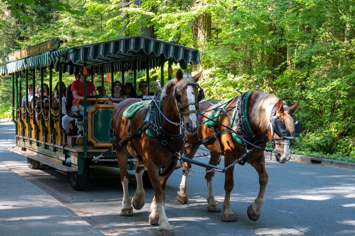 Pengcheng Zhang tweet media