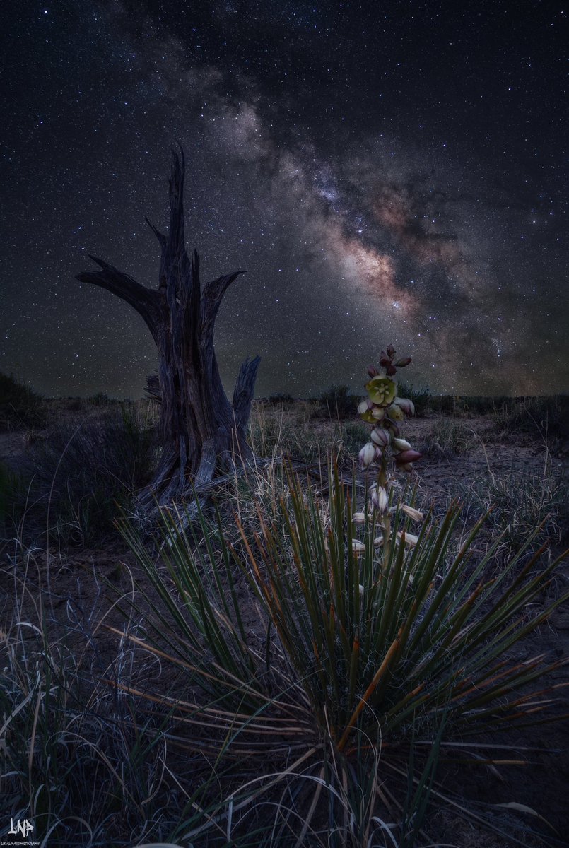 Man oh man I have been on a roll find great things to shoot under the stars #Astrophotography #nightscapes #milkywaycore #longexposure