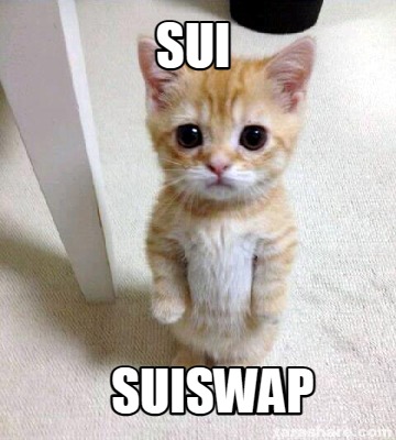 cryptocina2020's tweet photo. @suiswap_app #sui https://t.co/qvrbbZhIrX