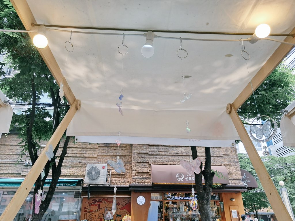 겨울의꿈 tweet media