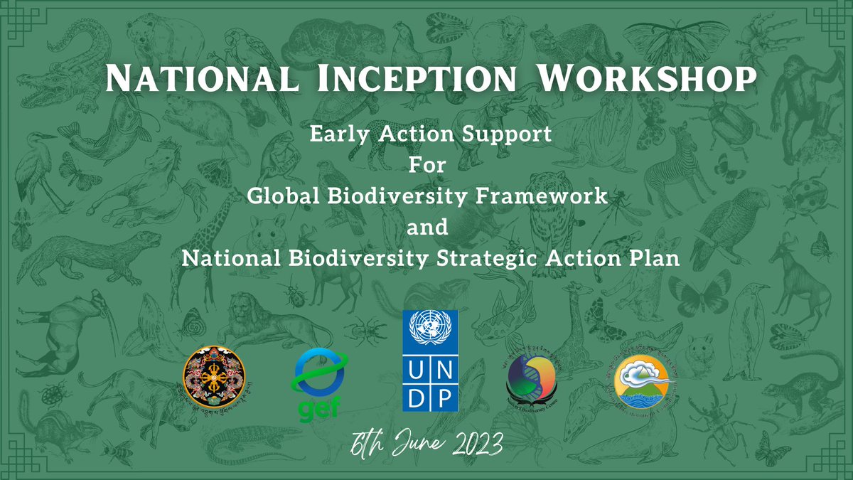 UNDP_Bhutan's tweet photo. #Bhutan fast-tracks readiness &amp; early actions to implement Kunming-Montreal Global Biodiversity Framework (GBF), a landmark agreement to guide global action on nature. As part of effort, the new National Biodiversity Strategies &amp; Action Plan will be developed in alignment w/ GBF. https://t.co/lBtOhbVeHf