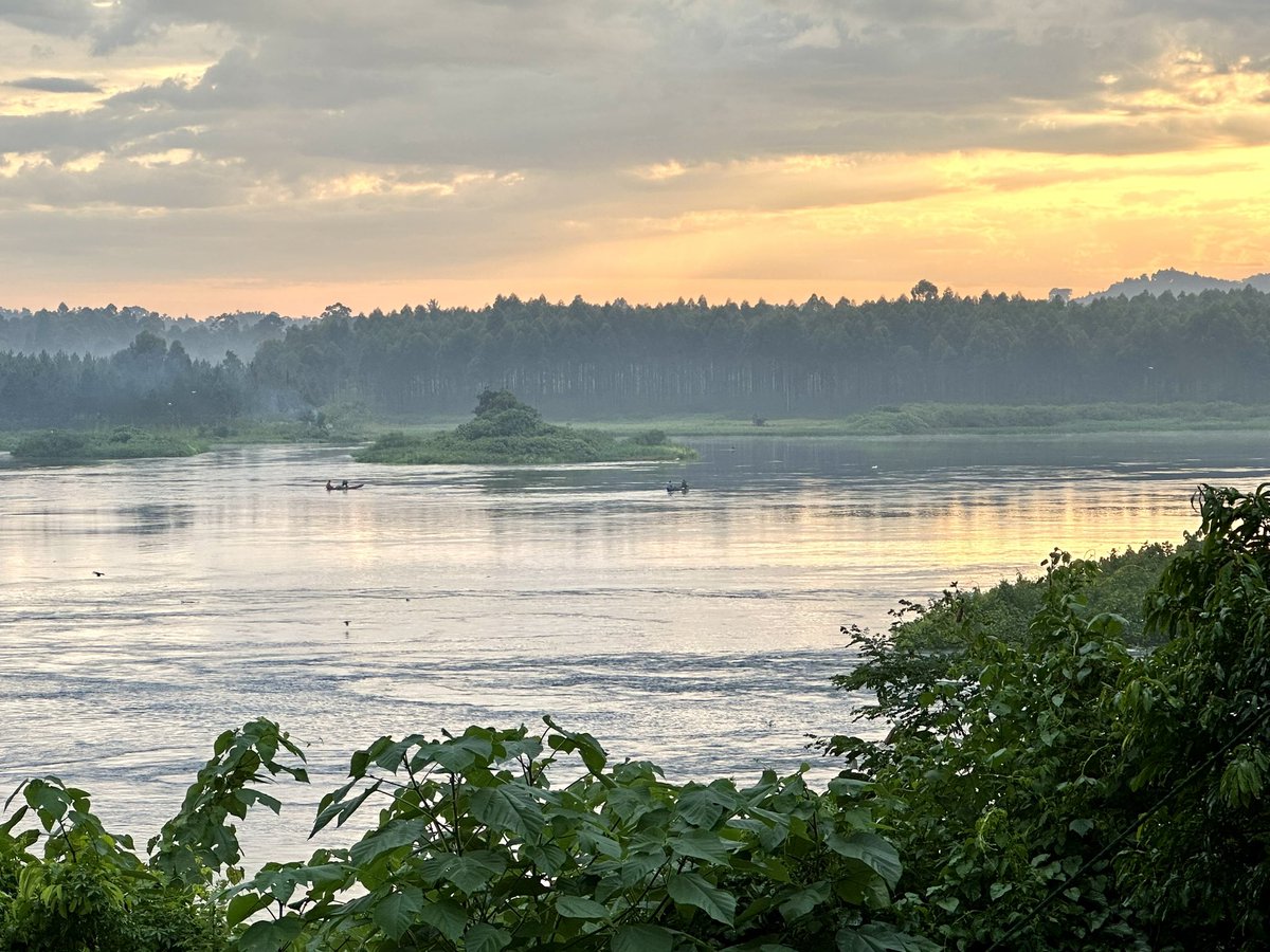 SwedEnvoyUganda's tweet image. Morning at river Nile.