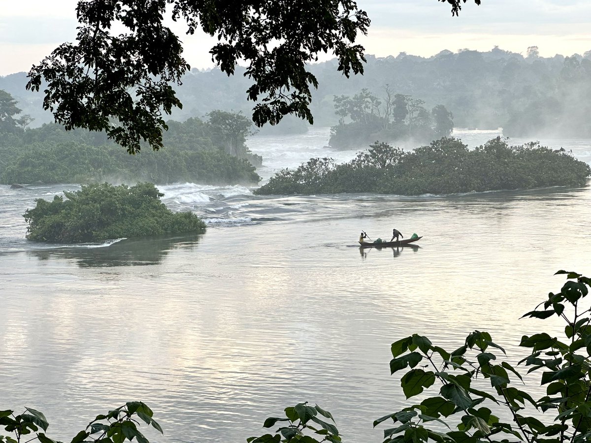 SwedEnvoyUganda's tweet image. Morning at river Nile.