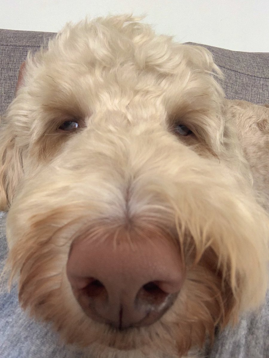 💥Dr💥 Julia Baird tweet media