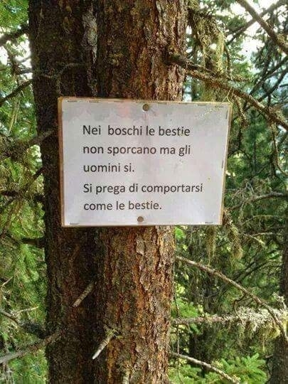 pierpi13's tweet photo. grazie https://t.co/1j4xYqn2BR