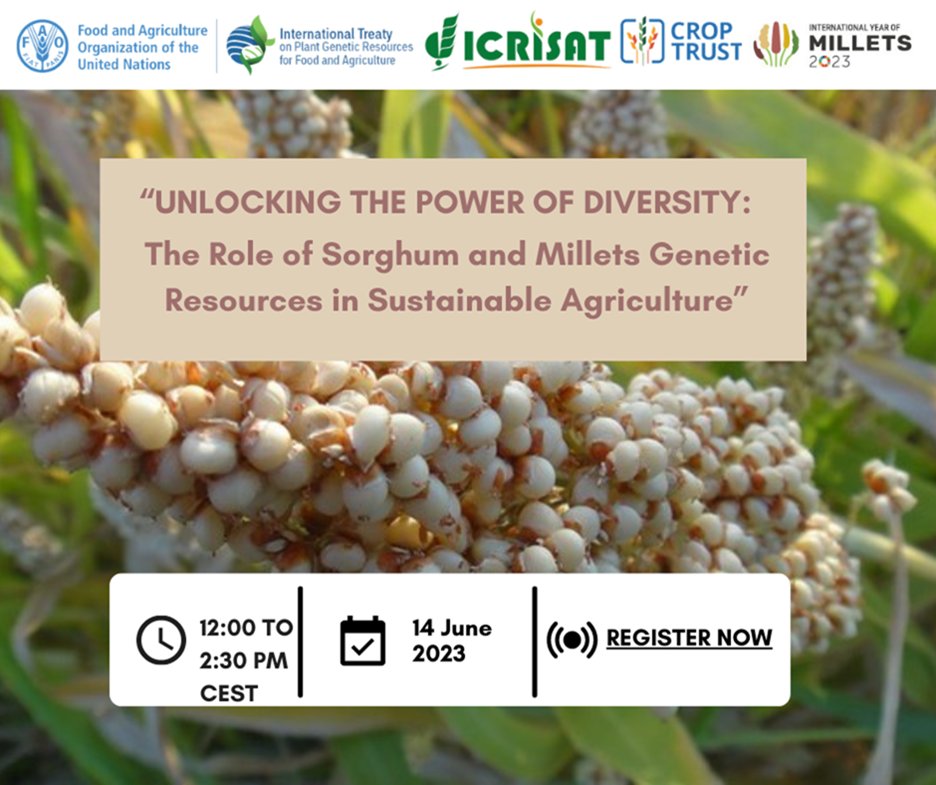 ICRISAT on Twitter "IYM2023 IYM2023 Event An international panel