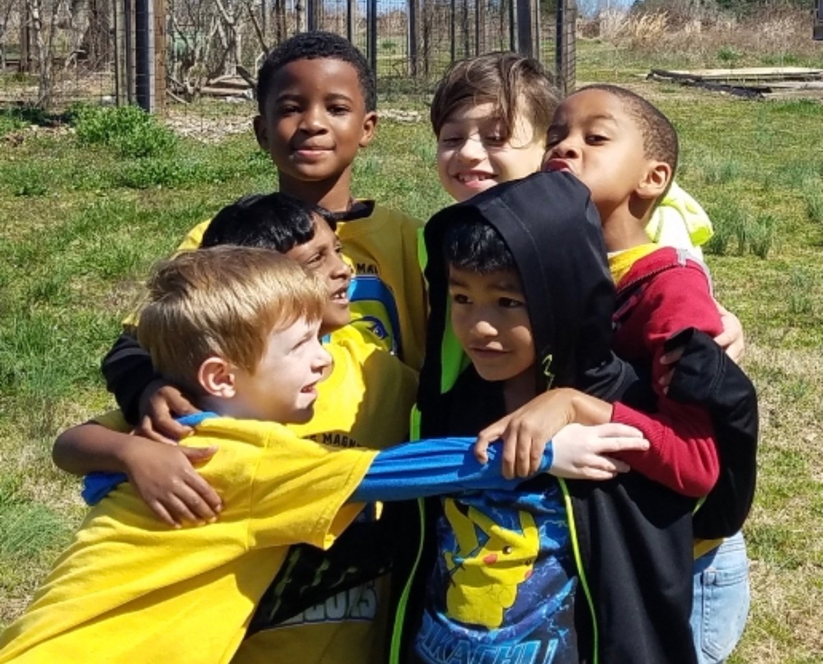 Lisl Howell tweet media