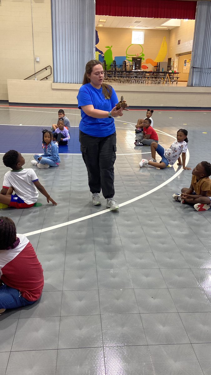 Rachel H. tweet media