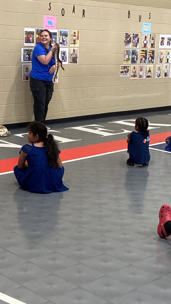 Rachel H. tweet media