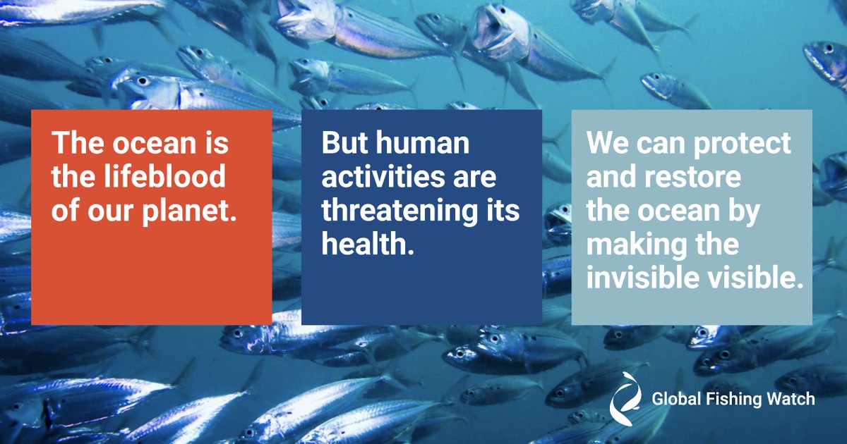 GlobalFishWatch's tweet image. 🎉Today, we’re launching our open ocean project. Thanks to The #AudaciousProject we’ll transform how we monitor &amp;amp; manage the ocean! This exciting development would not have been possible without the visionary support of our founders @oceana @SkyTruth &amp;amp; @Googleorg #WorldOceanDay🌊