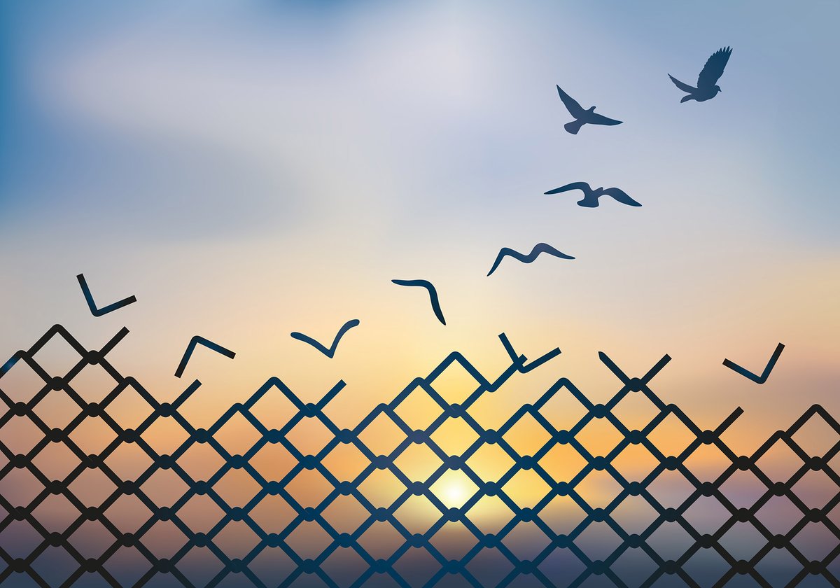 BunnyBitess's tweet photo. Finding Compassion Behind Bars: A Transformative Encounter in Maximum Security https://t.co/3K5e1kF1RX https://t.co/h2IdPxl8qz