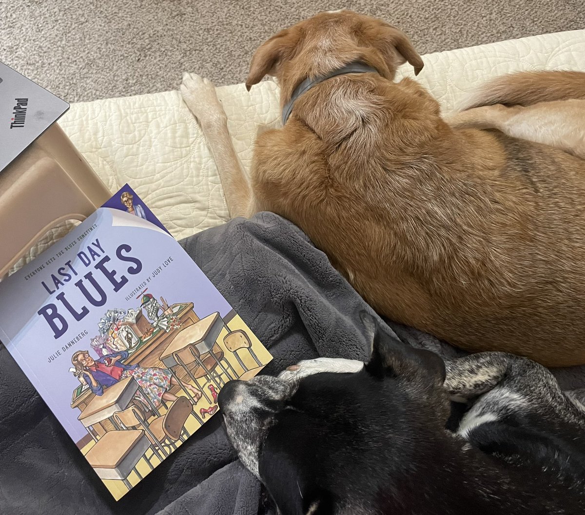 Kayli Scott tweet media