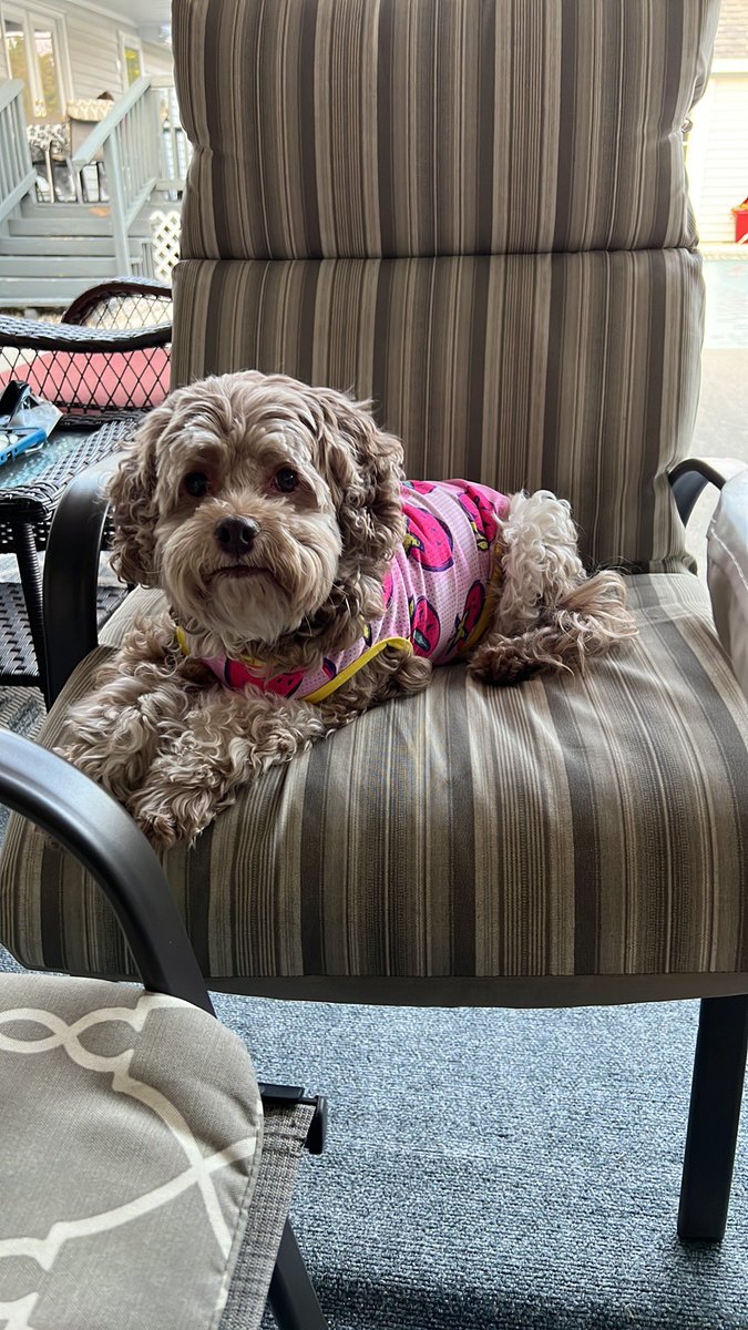 She’s always ready to party by the pool.