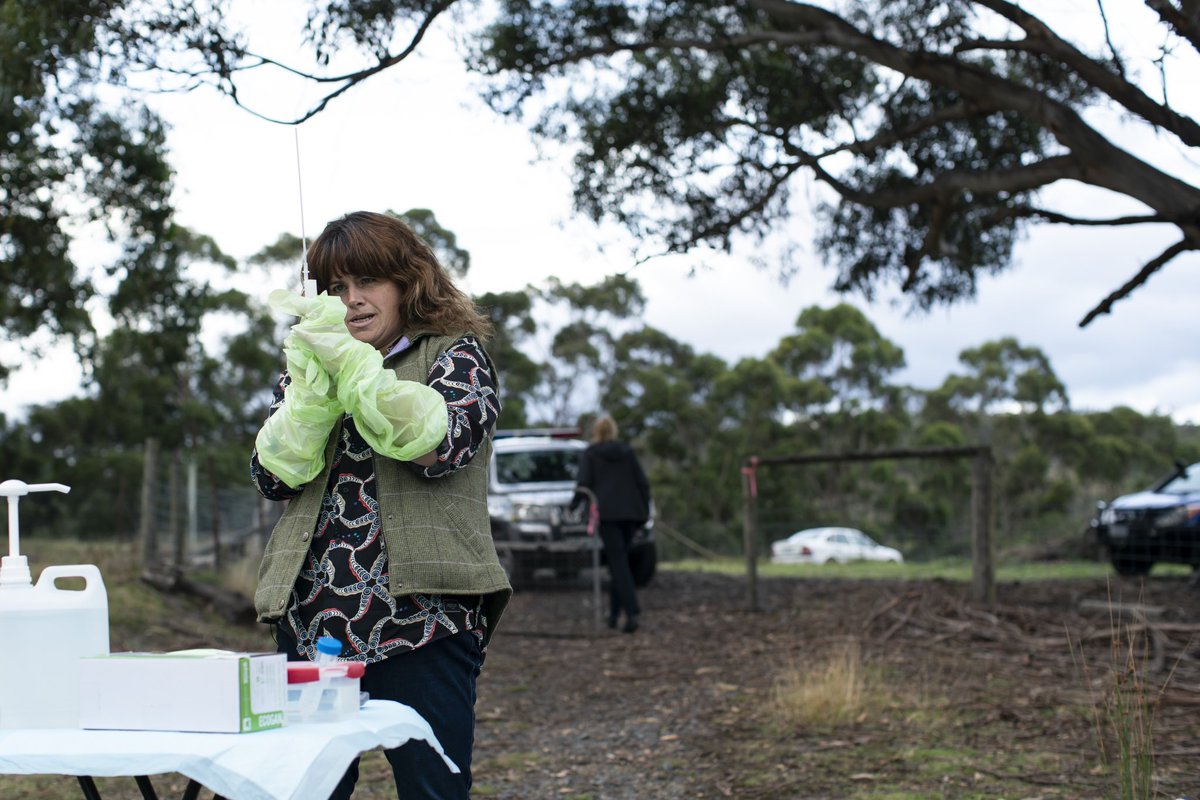 Kate McCartney tweet media