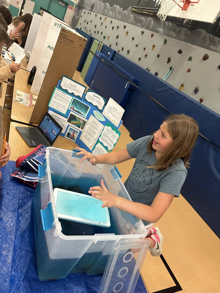 Harbor Heights tweet media