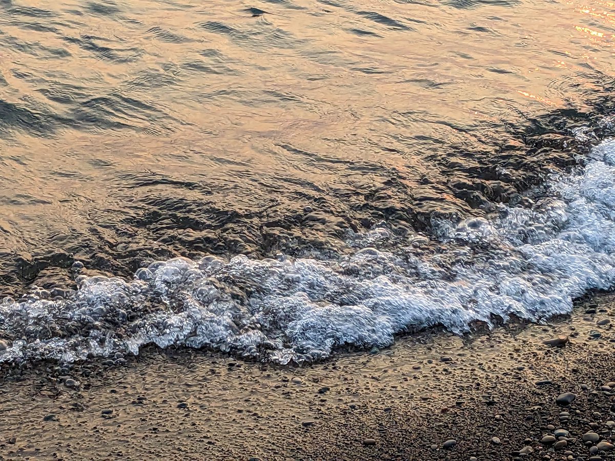 Sherry Coman tweet media