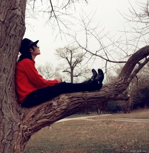 You can't hurt me, I found peace within myself.
                       -Michael Jackson-