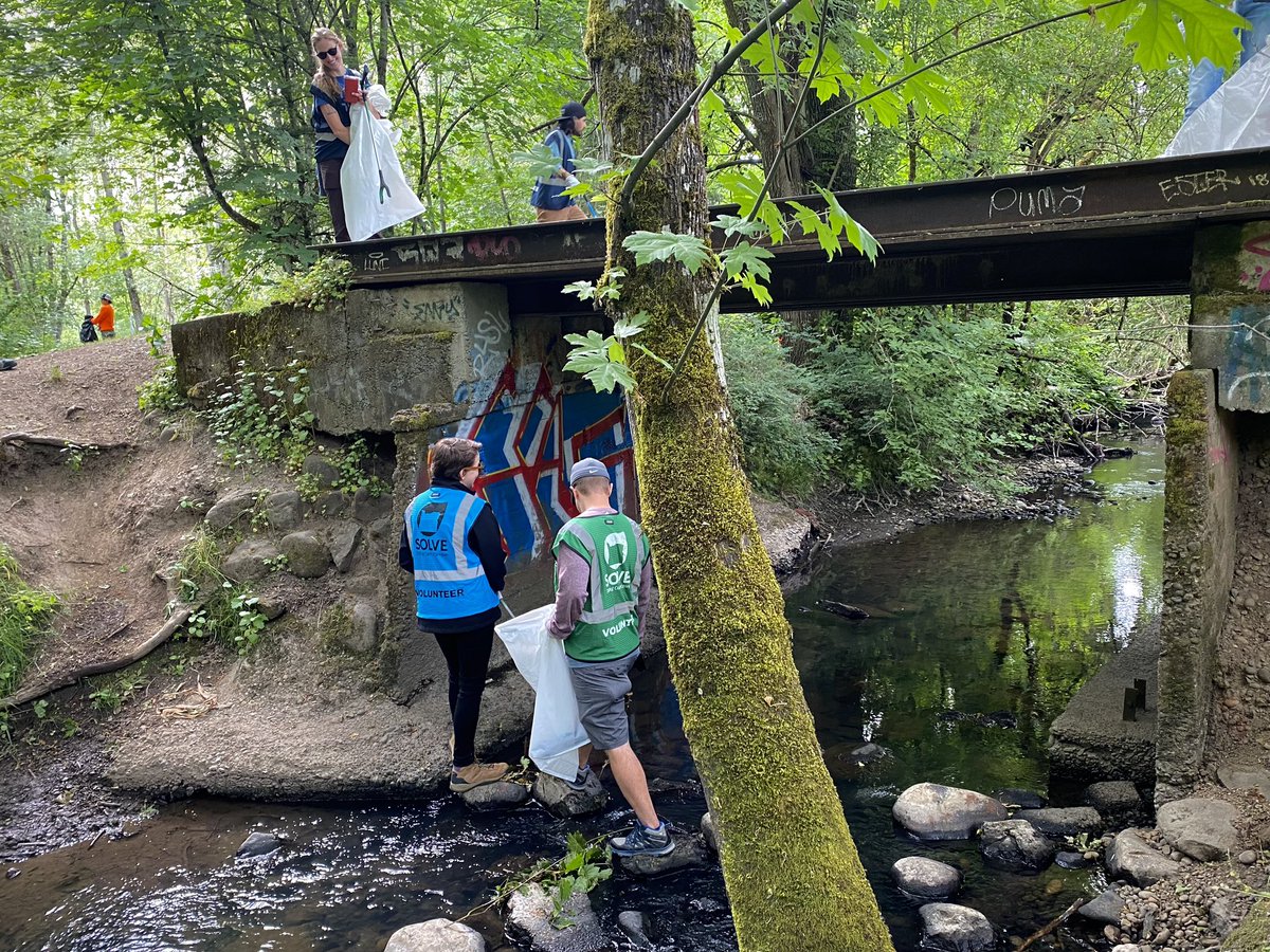 pariniconnects's tweet photo. @clackamascounty joins @SOLVEinOregon to protect watershed health. The #wildflowers respond with glorious blooms of gratitude! #cleanwater #watershedhealth #urbanwild 🩵 https://t.co/kpObJoOwD4