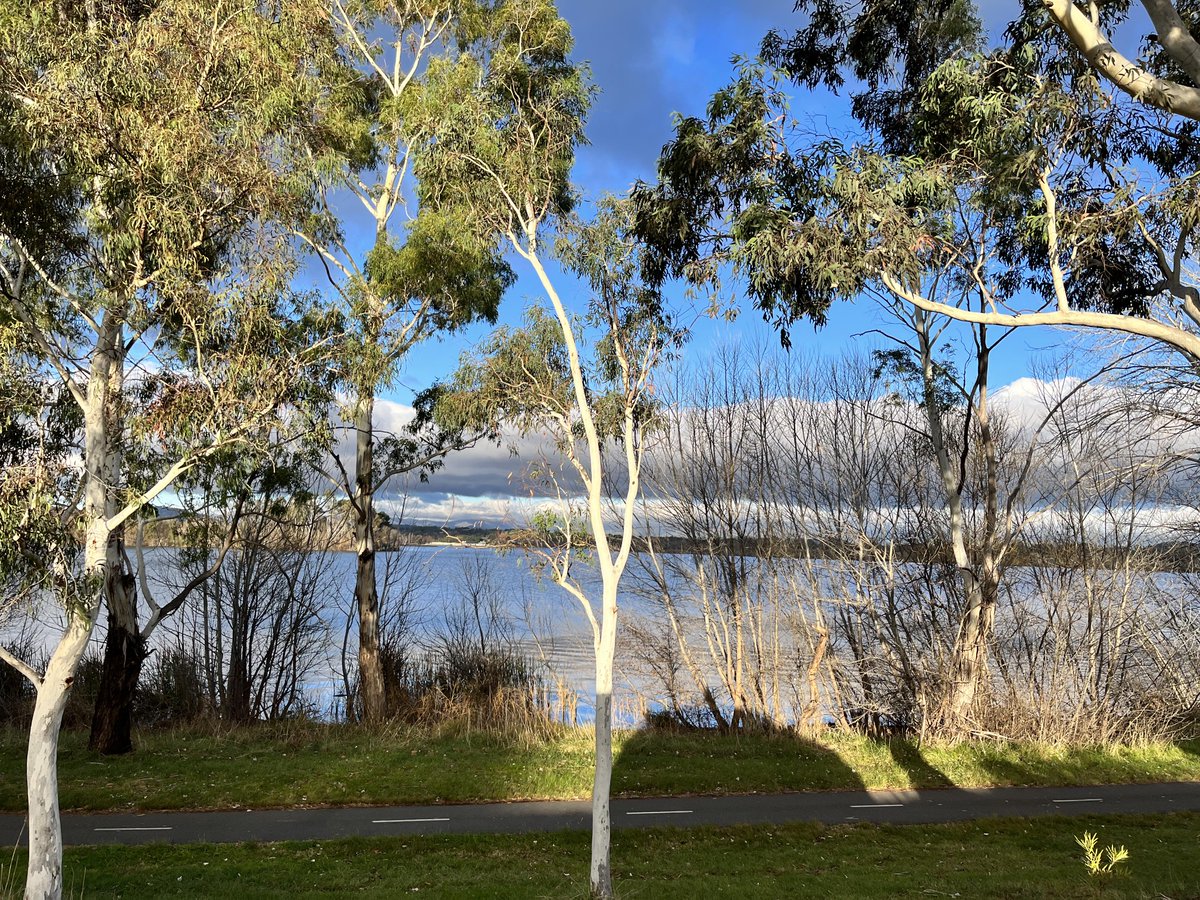 Parkes Way next to Lake Burley Griffin this morning 😊 #goodmorning #morning #fridaymorning #friday #tgif #lakeburleygriffin #lake #canberra #australia